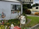 catlins (29)